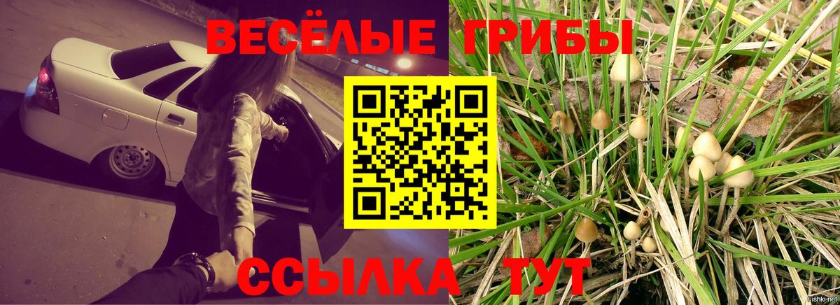 Галлюциногенные грибы мицелий Тихорецк