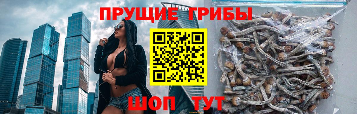 Псилоцибиновые грибы ЛСД  Галлюциногенные грибы прущие грибы  как найти   Тихорецк  Вход с VPN 